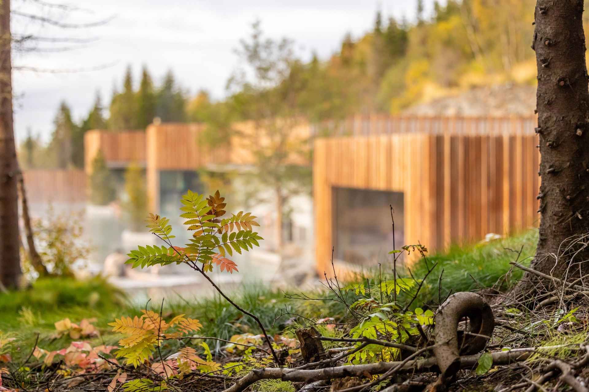 Akureyri: Admission to Forest Lagoon