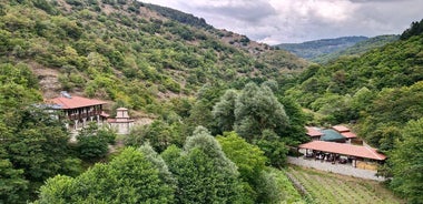 Экскурсия по монастырскому винодельню и дегустация вин