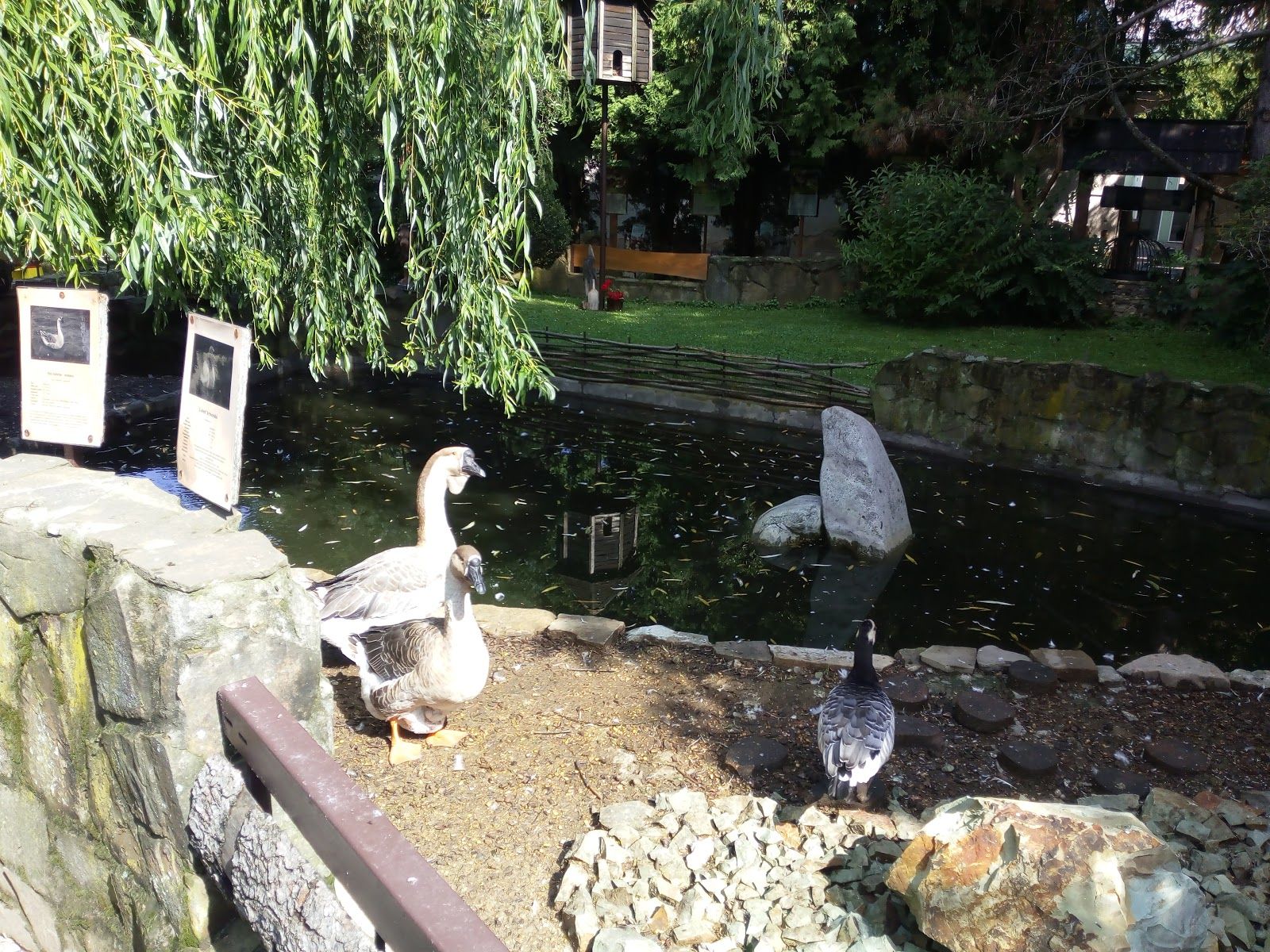 ZOO Stropkov, Stropkov, District of Stropkov, Region of Prešov, Eastern Slovakia, Slovakia