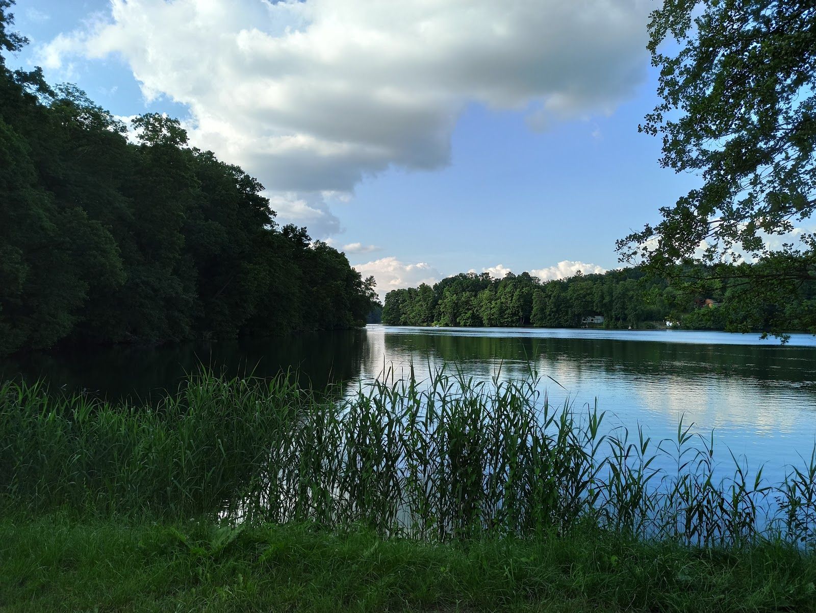 Lake nature reserve Trześniowskie, Jemiołów, gmina Łagów, Świebodzin County, Lubusz Voivodeship, Poland