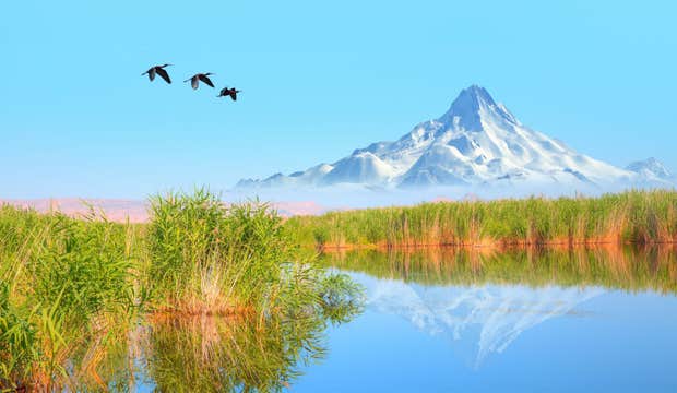 13-Day Turkey Self-Drive Road Trip With Itinerary from Sivas to Kayseri, Ankara, Kocaeli, Istanbul, Bursa, Aydın, Antalya, Konya, and Goreme