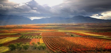 Vineyards of La Rioja Cycling