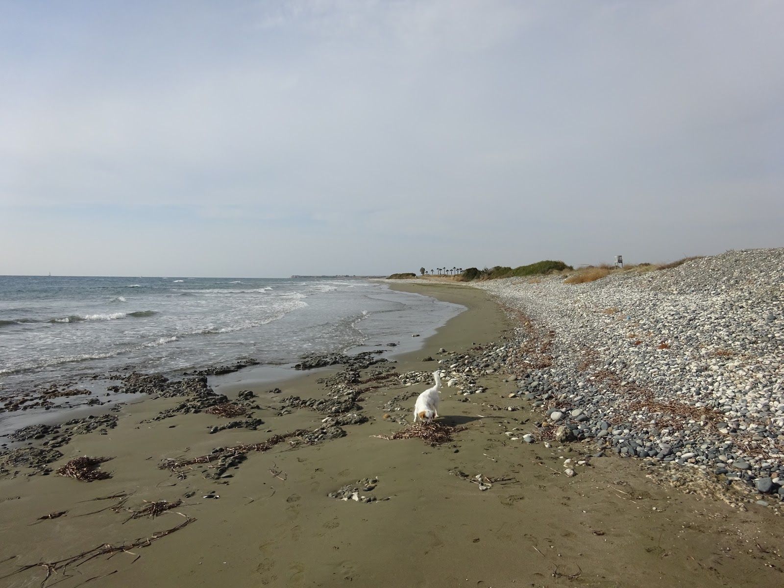 Mazotos Beach, Larnaca District, Cyprus