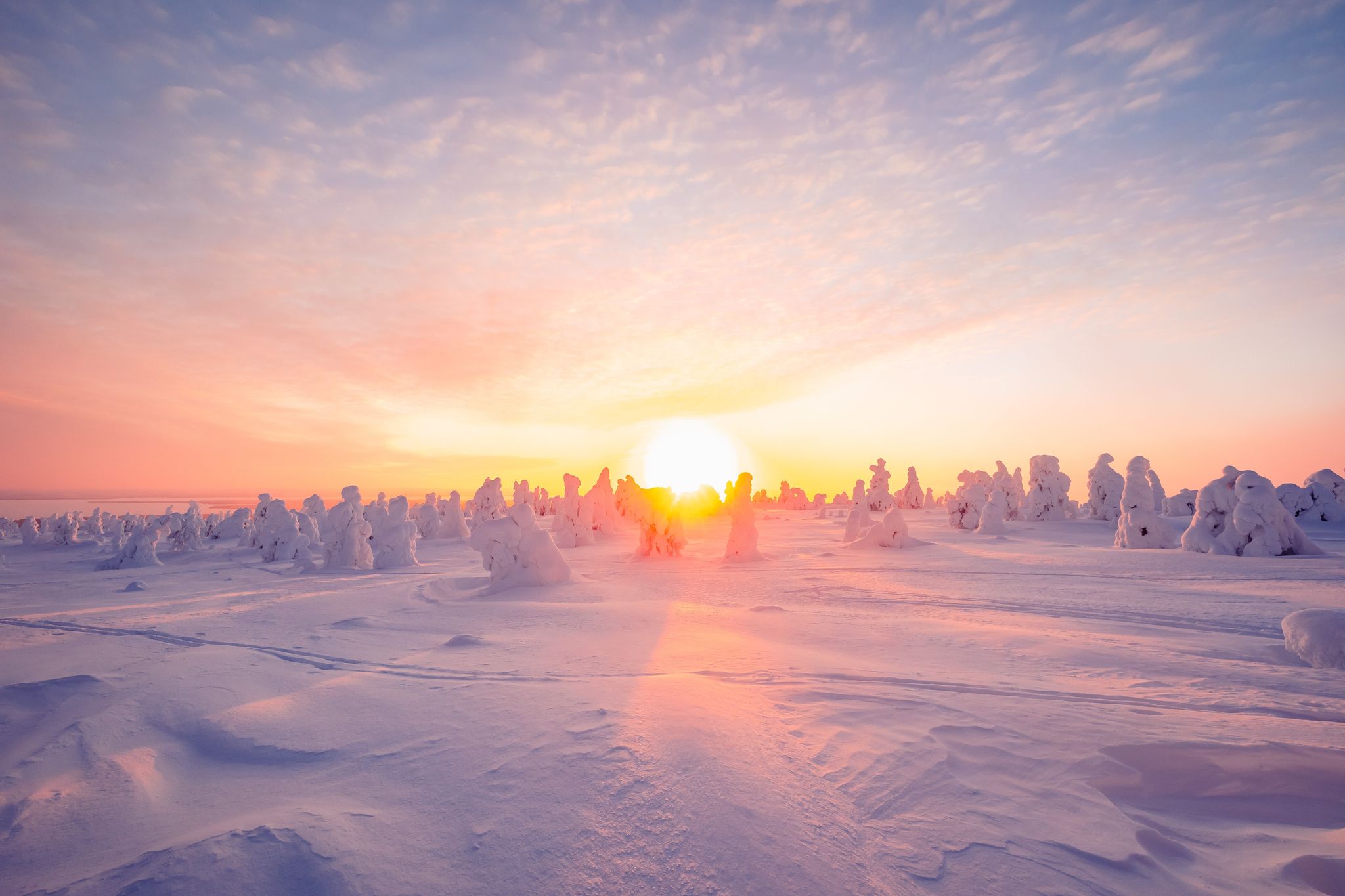 Photo of Riisitunturi National Park at sunset, Kuusamo, Finland.
