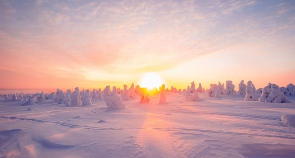 Photo of Riisitunturi National Park at sunset, Kuusamo, Finland.
