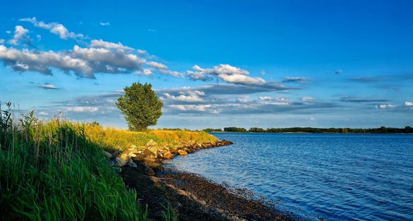 photo of view of Beautiful landscape on the beach with a tree standing spot on by sun, with water and blue sky at vordingborg Denmark.
