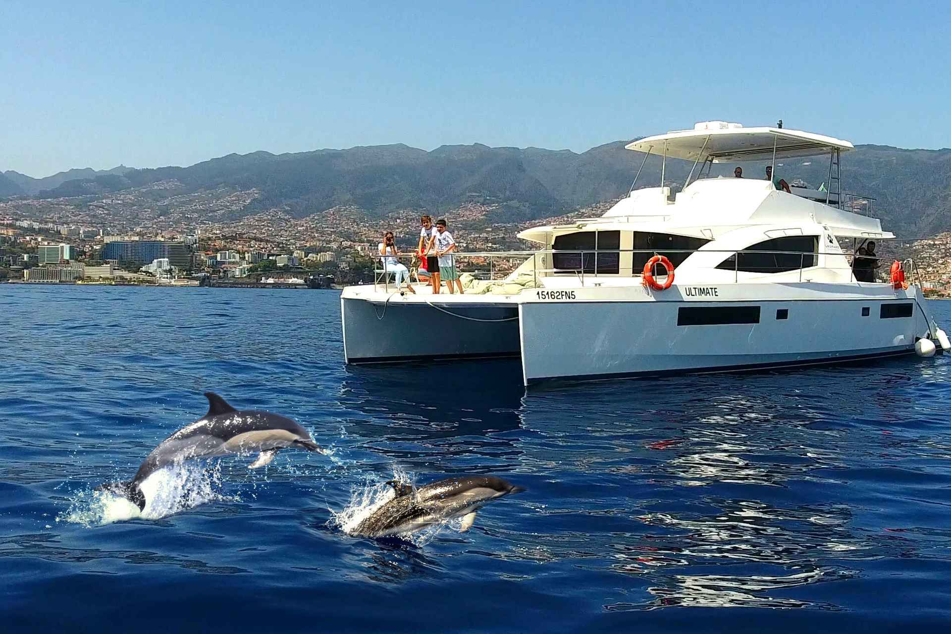 All Inclusive Whale and Dolphin Watching Luxury Tour
