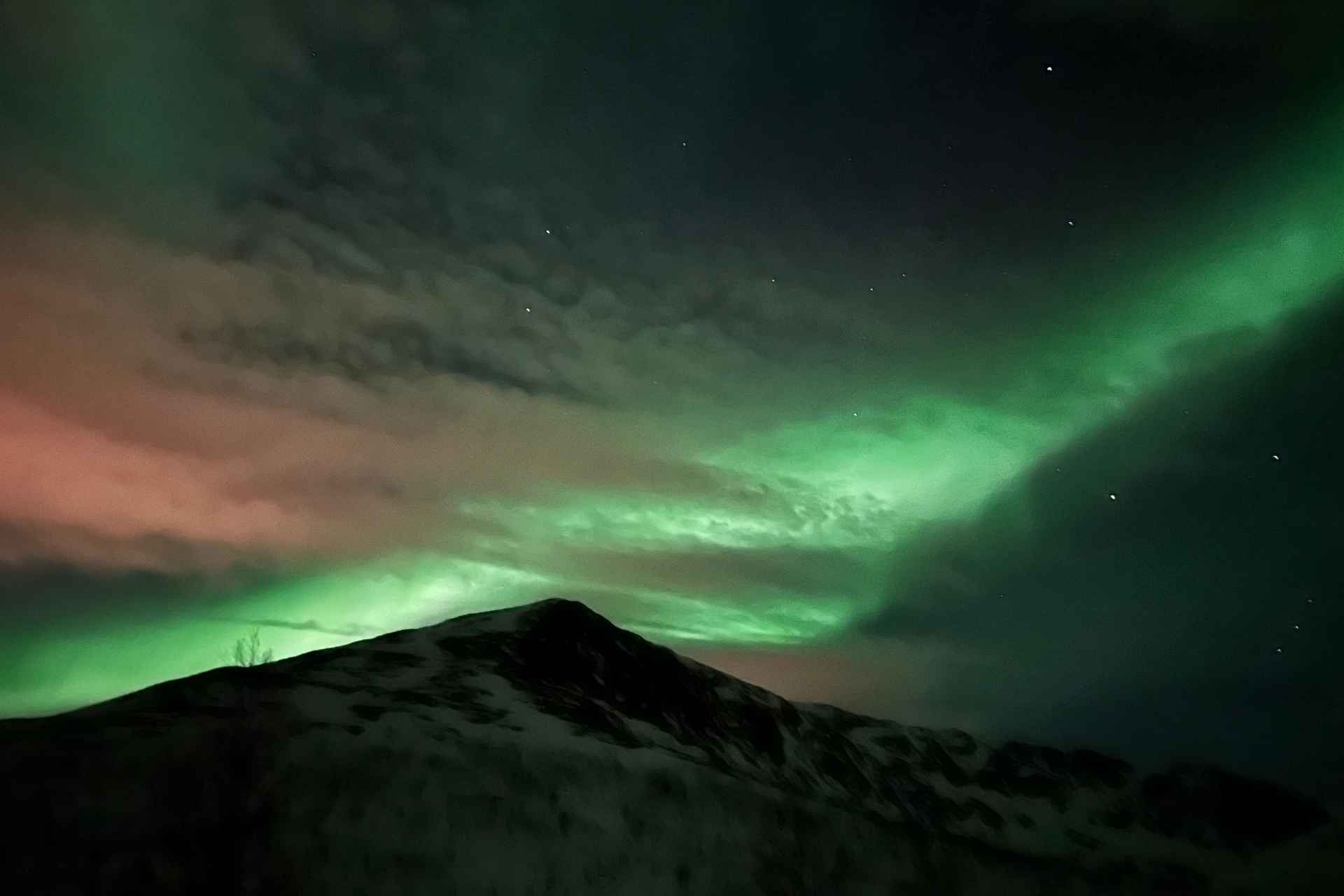 Kirkenes: Northern Lights Chase Tour