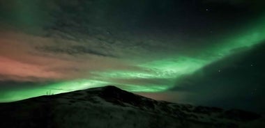 Kirkenes: Northern Lights Chase Tour