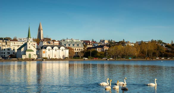 photo of Lake with Swans, Reykjavik Iceland.