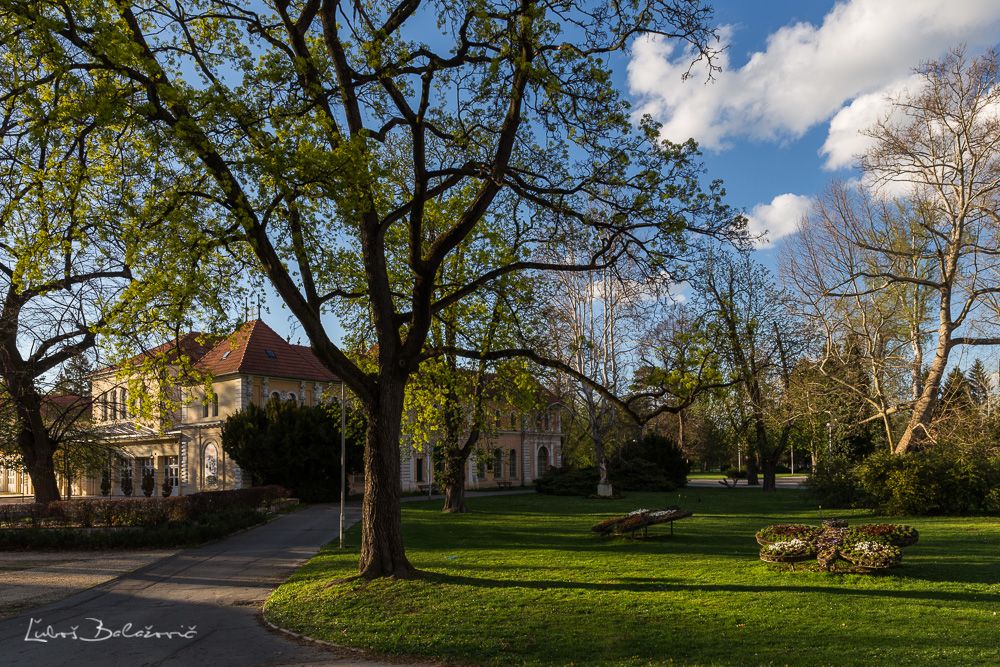 Park, Piešťany, District of Piešťany, Region of Trnava, Western Slovakia, Slovakia