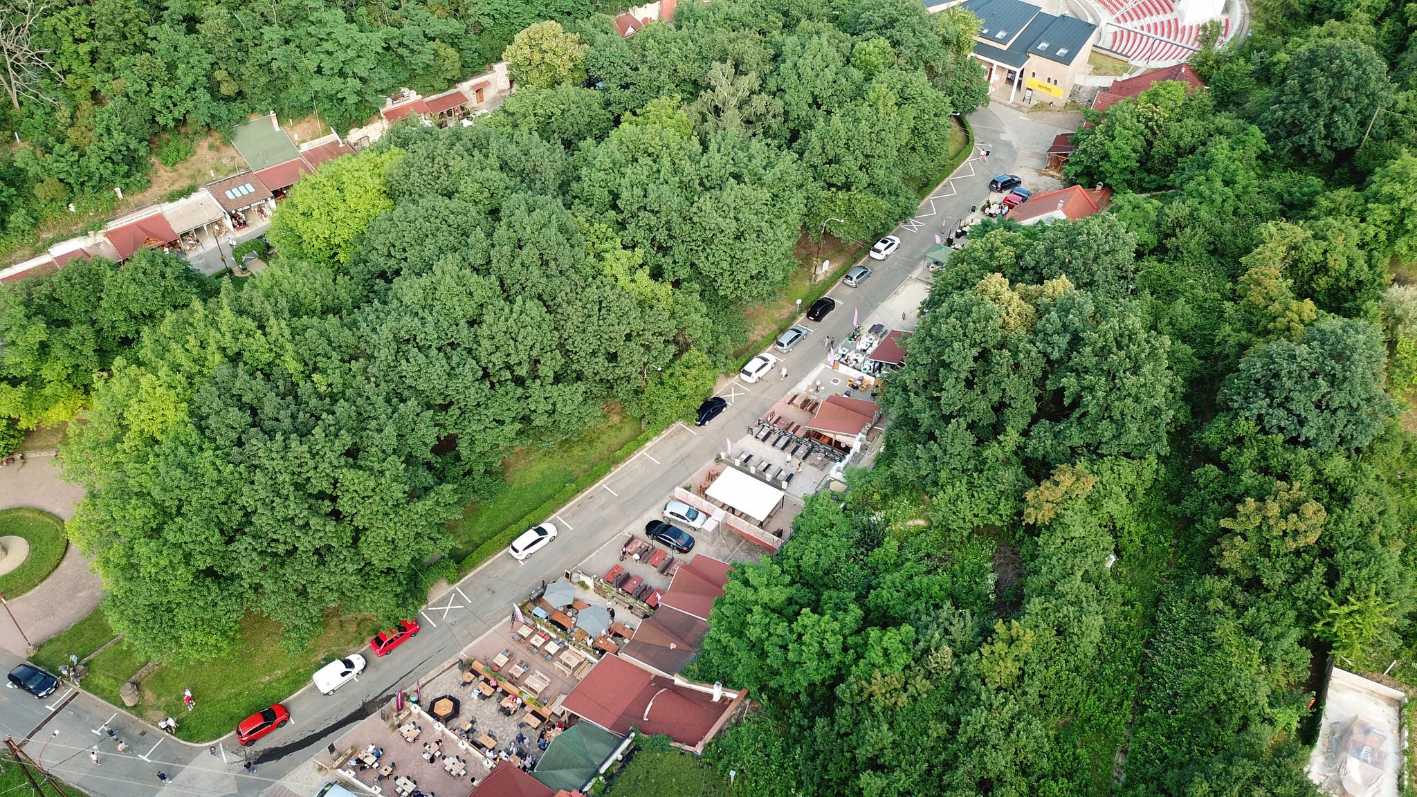 Photo of Szepasszony valley the most famous vineyard at Hungary.