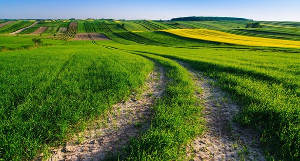 Photo of spring farmland in Roztocze. Lublin province.