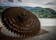 Alsace-Moselle Memorial, Schirmeck, Molsheim, Bas-Rhin, Grand Est, Metropolitan France, France