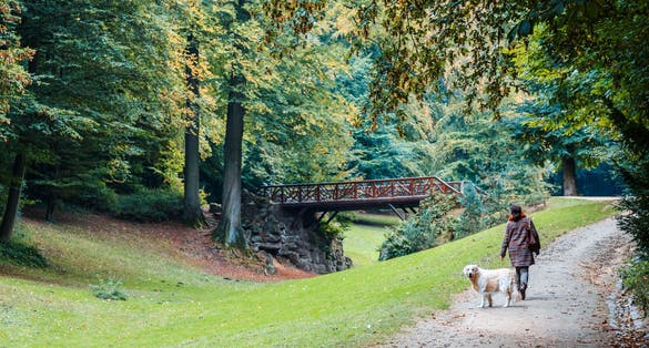 Photo of a girl walking her dog in Park Bois de La Cambre, Sonian forest, Brussels, Belgium.