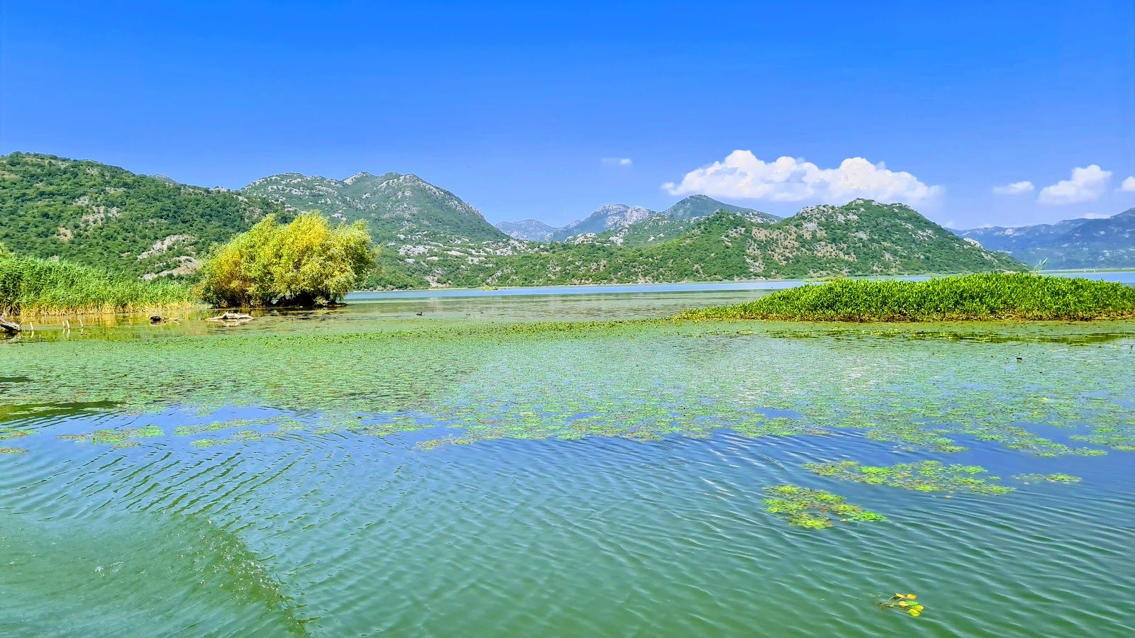 Skadar Lake National Park, Montenegro