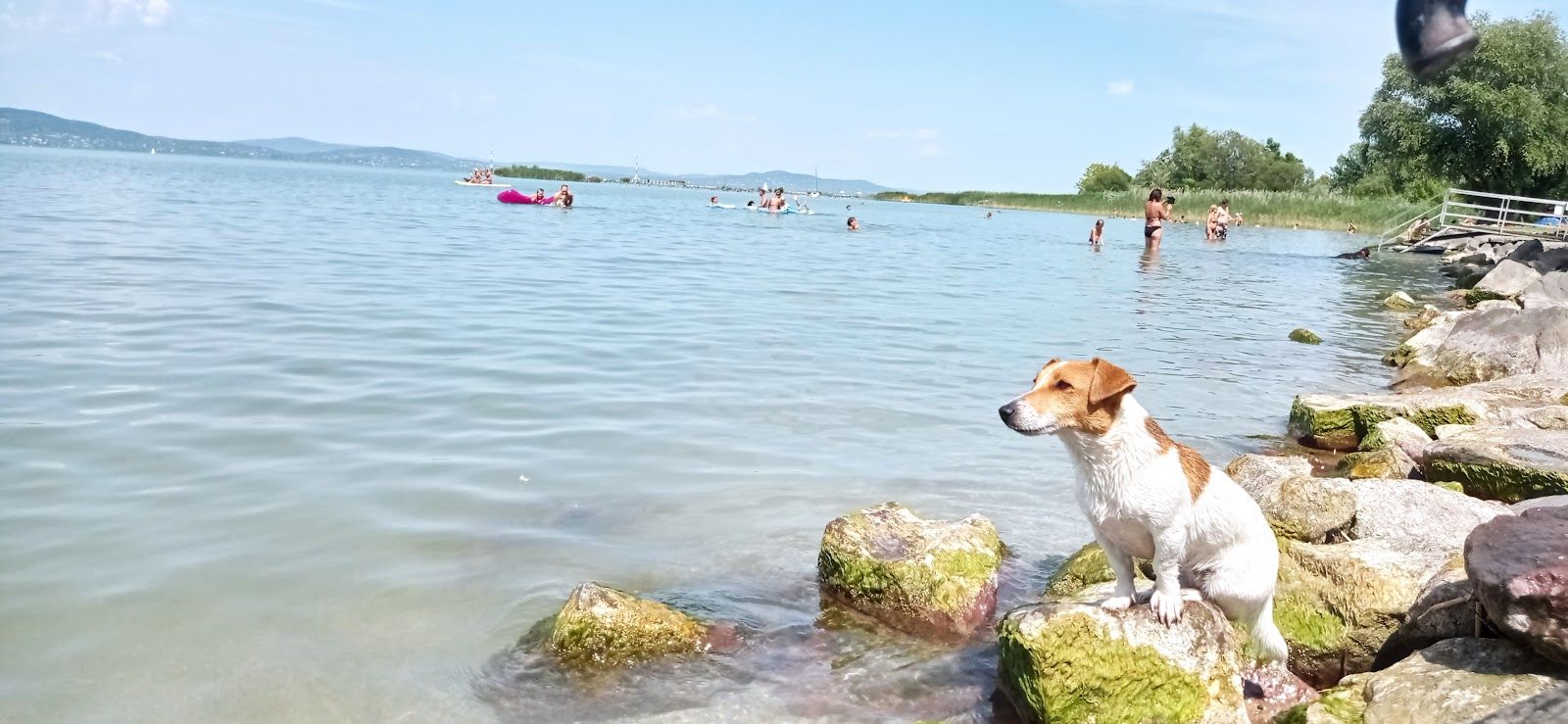 Fonyódi kutyásstrand, Fonyód, Fonyódi járás, Somogy, Southern Transdanubia, Transdanubia, Hungary