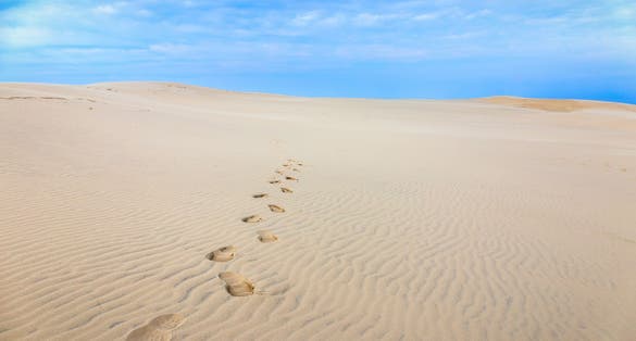 photo of Råbjerg mile, great sand dune in Frederikshavn in the north of Denmark.