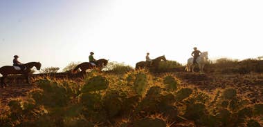 Tenerife: Horseback Ride with Instructor