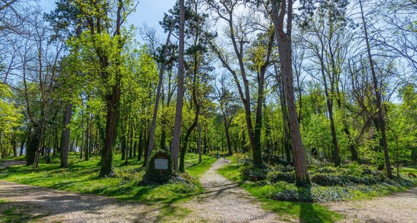 photo of view of View of Skobelev park in Pleven.,Pleven Bulgaria.