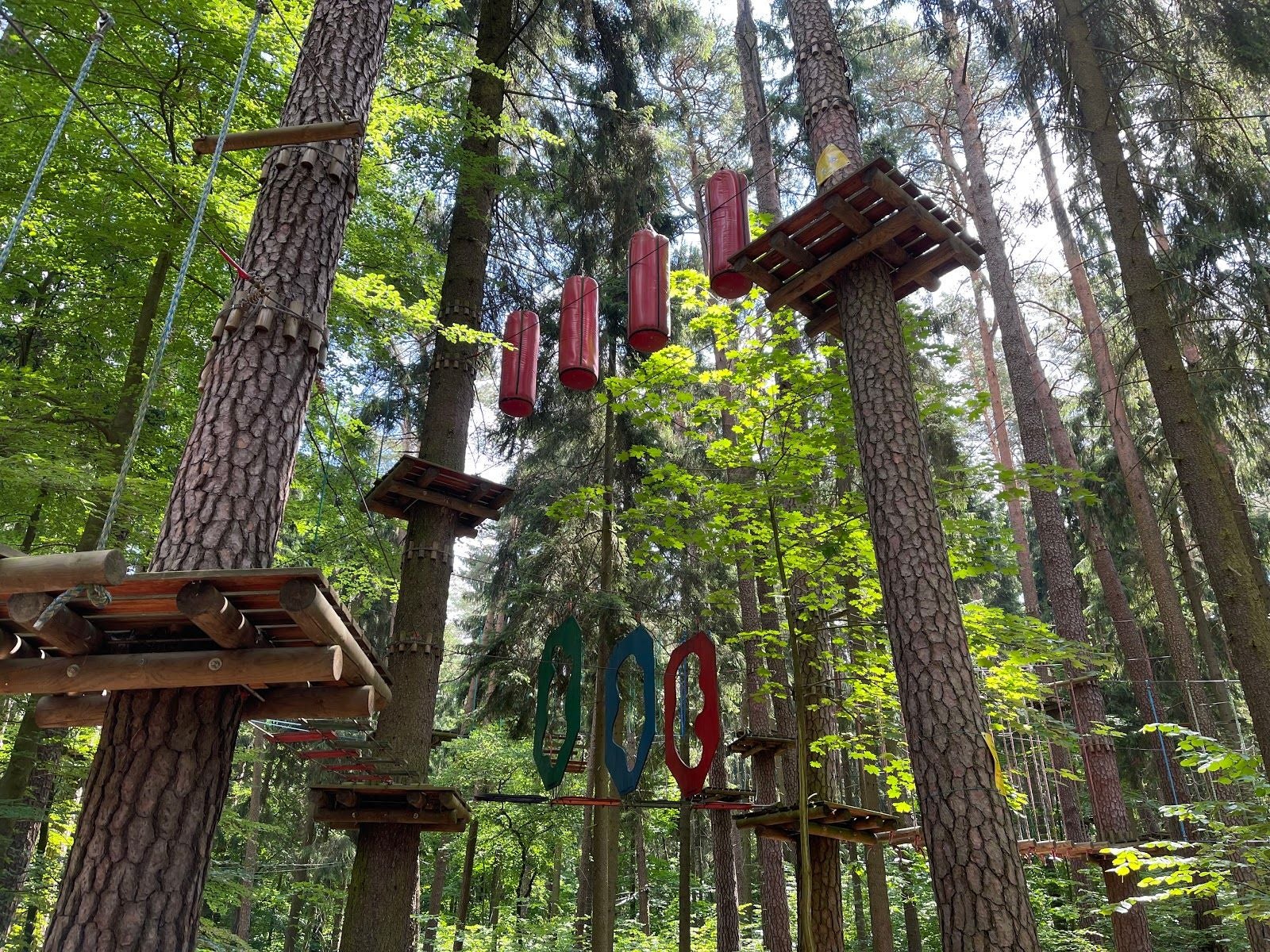Forest Rope Park, Wojska Polskiego, Olsztyn, Warmian-Masurian Voivodeship, Poland
