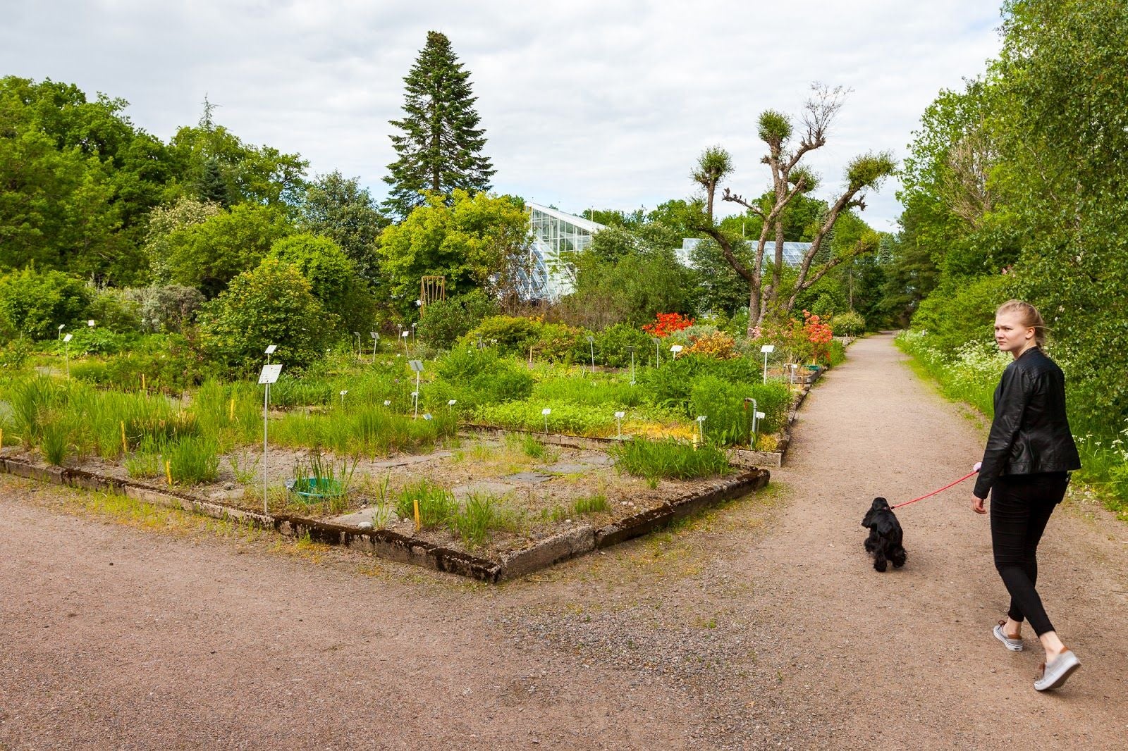 Botanic Garden of Turku, Ruissalo, Keskusta, Turku, Turun seutukunta, Southwest Finland, South-Western Finland, Mainland Finland, Finland