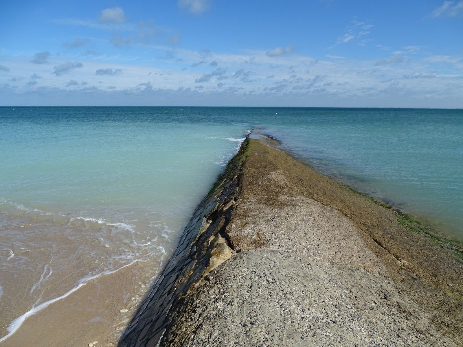 Conche of Whales, Metropolitan France, France