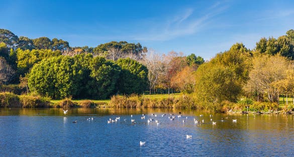 Photo of Parque da Cidade do Porto, Portugal, city Park is the largest city park in this city.