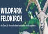 Wildpark Feldkirch travel guide