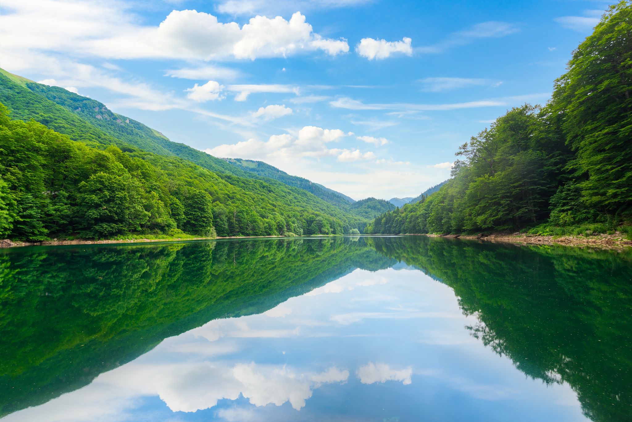 Photo of reflection in Biogradskoe Lake at summer sunrise, Montenegro.