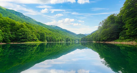 Photo of reflection in Biogradskoe Lake at summer sunrise, Montenegro.