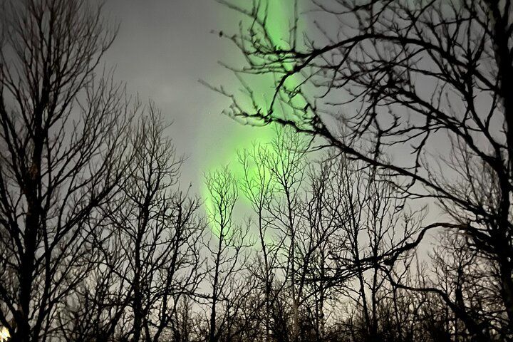Aurora Borealis Tour in Kiruna - Lapland with Stejk Street Food