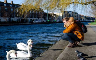 Aerial view of Dublin city center at sunset with River Liffey and Samuel Beckett bridge in the middle. Bridge designed by Santiago Calatrava.
