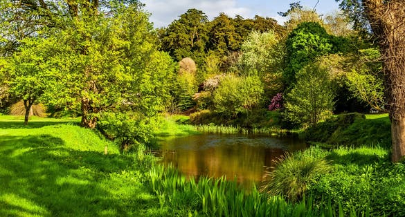 Castle gardens in Ireland in a spring robe, after a storm, Blarney Castle Cork, Ireland