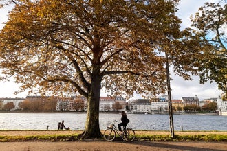 shutterstock_2522251429 (1).jpg