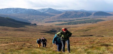 From Edinburgh: Cairngorms Mountain Hike Day Trip by Train