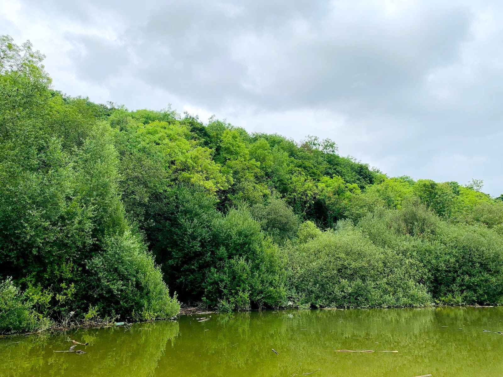 Humber Bridge Country Park, Hessle, East Riding of Yorkshire, Yorkshire and the Humber, England, United Kingdom