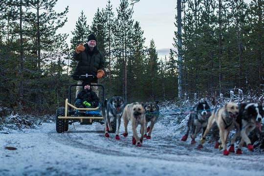 Born to Run morning Self driven Husky tour in November