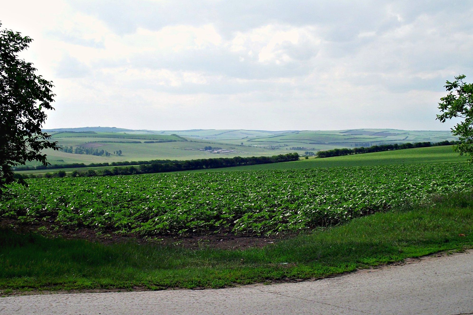 Orhei District - region in Moldova