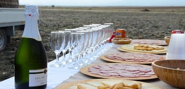 Hot Air Balloon Flight Over Segovia or Toledo