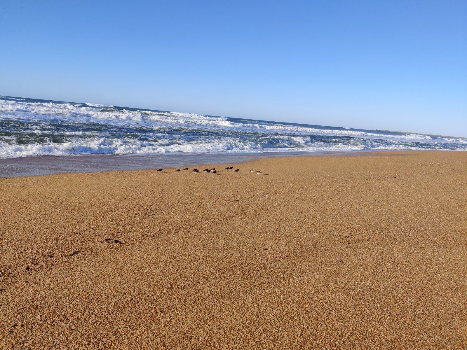 Marinella Beach, Anglet, Bayonne, Pyrénées-Atlantiques, New Aquitaine, Metropolitan France, France
