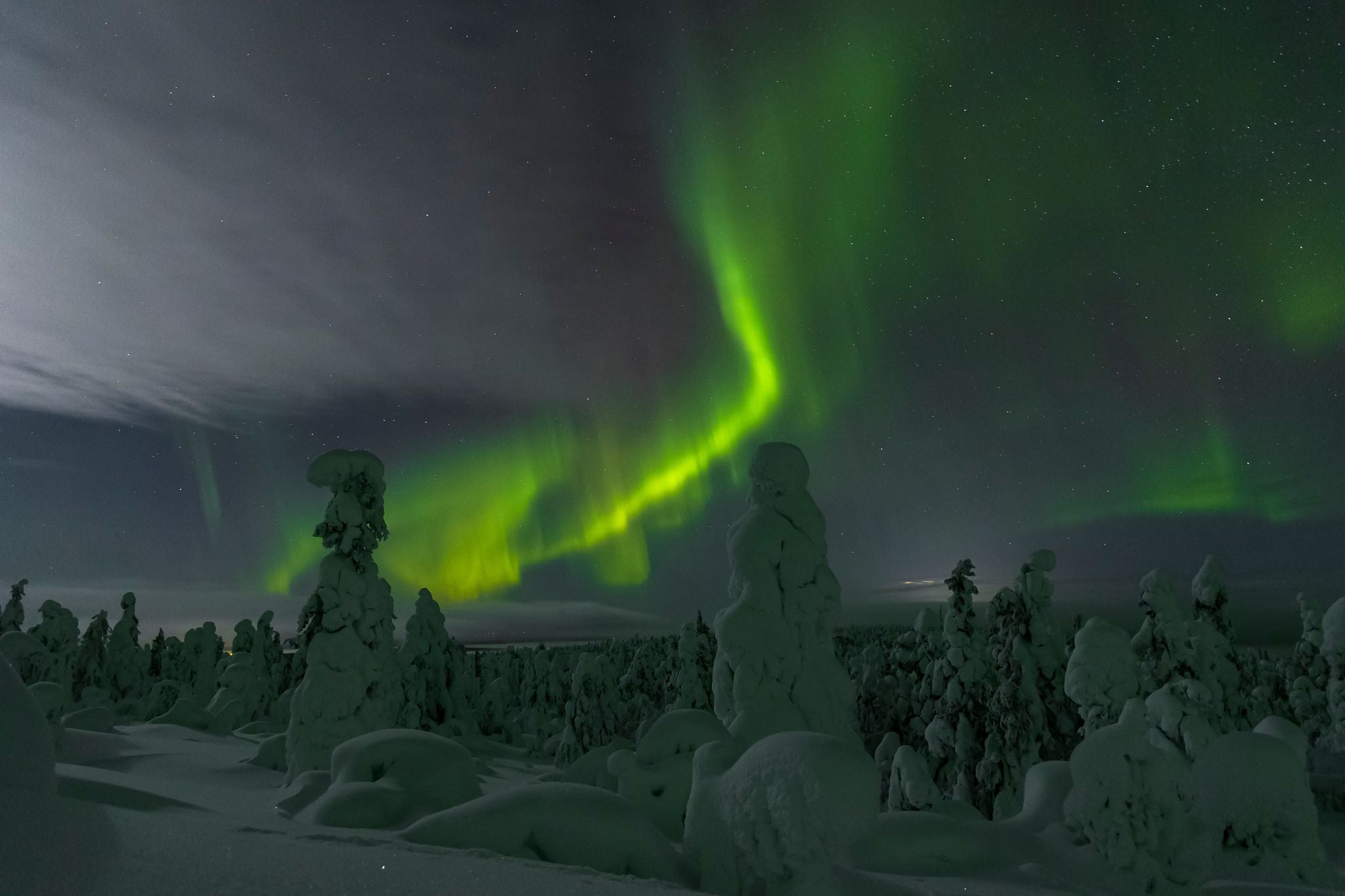 Photo of Norther lights in Luosto, finish Lapland, Finland.