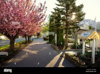 Устронь поездки для катания на лыжах