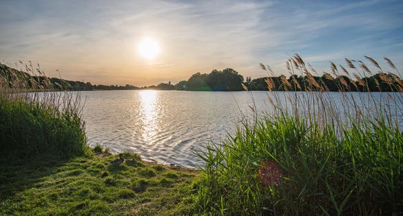 Photo of grass waving in the wind with beautiful werdersee, a river in bremen, in the background at sunset.