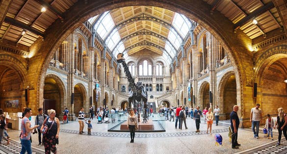 People visit Natural History Museum in London, UK.
