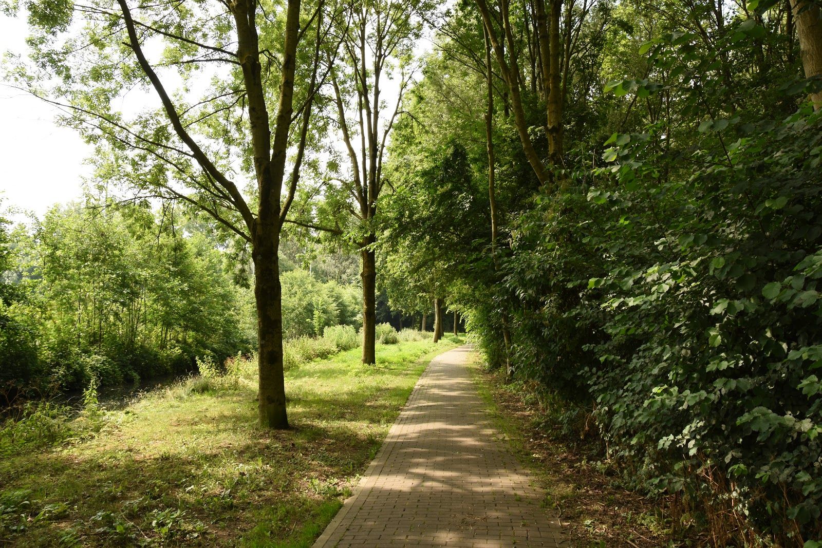 Natuur- en Vogelwacht De Alblasserwaard, Papendrecht, South Holland, Netherlands
