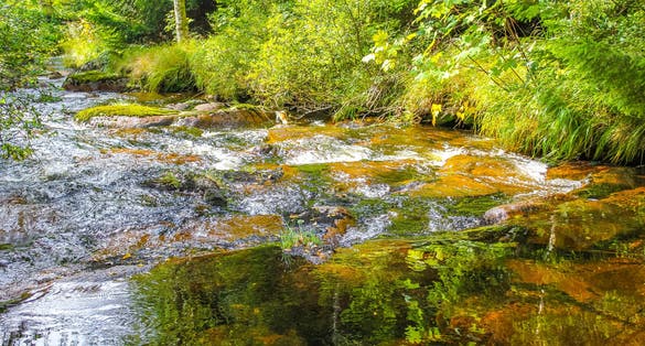 Small waterfall river and stream landscape panorama on the Brocken mountain in National Park Harz in Wernigerode Lower Saxony Germany.