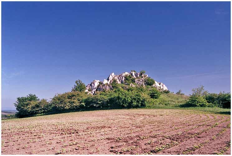 Kočičí skála, Mikulov, okres Břeclav, Jihomoravský kraj, Southeast, Czechia