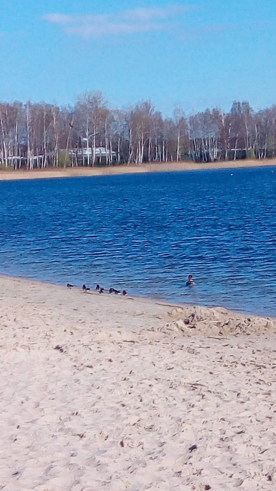 Molo na Pogorii III, Dąbrowa Górnicza, Górnośląsko-Zagłębiowska Metropolia, Silesian Voivodeship, Poland