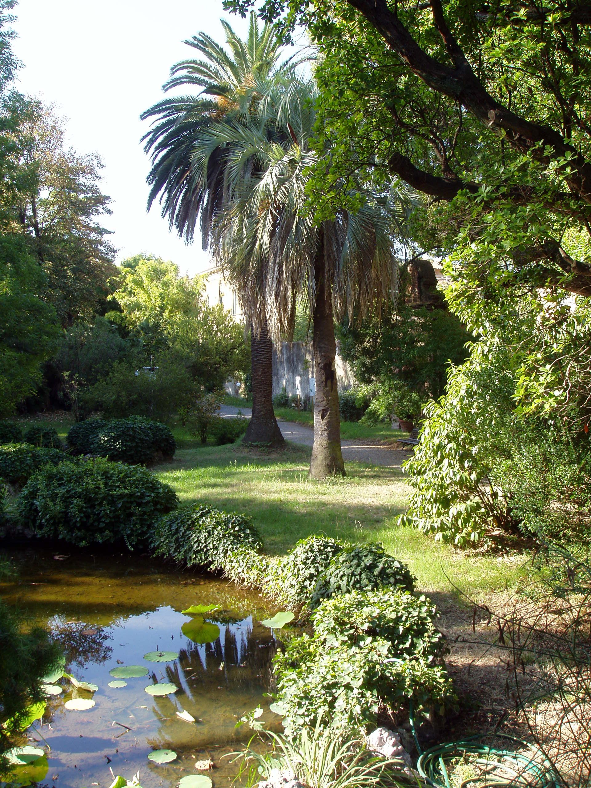 photo of view of Botanical Garden, Saint-Josse-ten-Noode - Sint-Joost-ten-Node, Belgium.